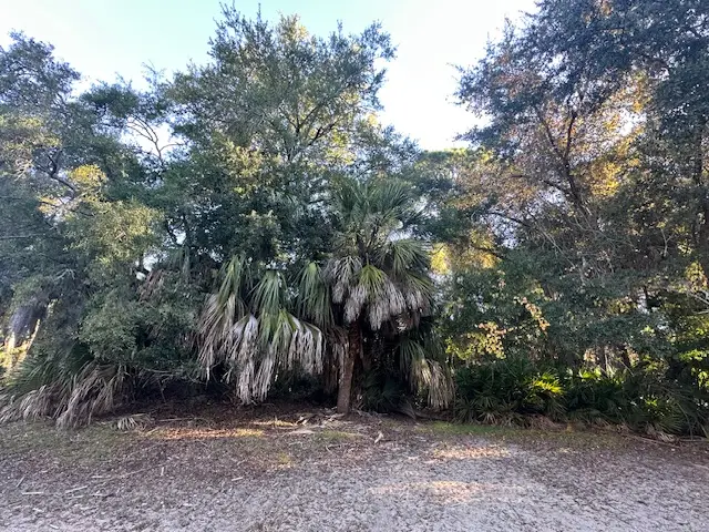 Lot 4A Bonita Drive, Fripp Island, SC 29920 - #2