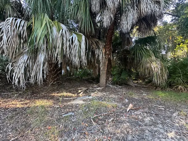 Lot 4A Bonita Drive, Fripp Island, SC 29920 - #3