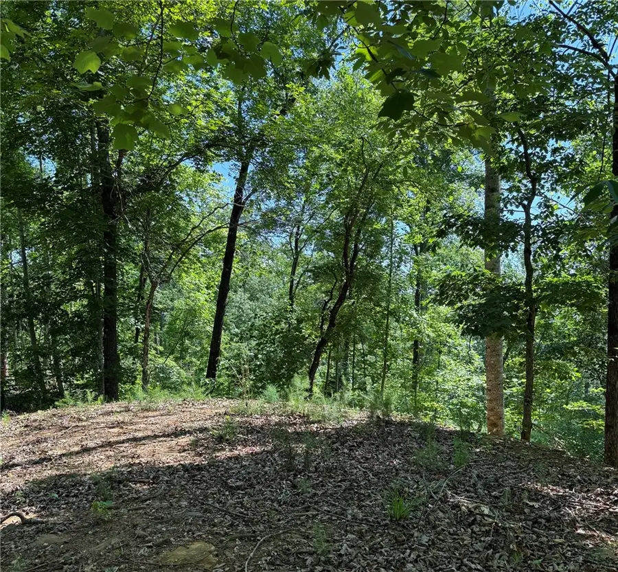 126 Summit Pine, Sunset, SC 29685 - #3