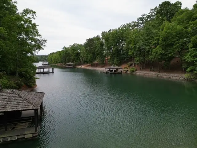 126 River Ridge Road, Sunset, SC 29685 - #3