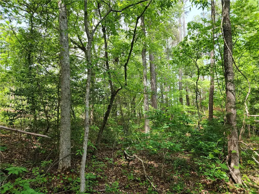 00 Holden Drive, Westminster, SC 29693 - #3