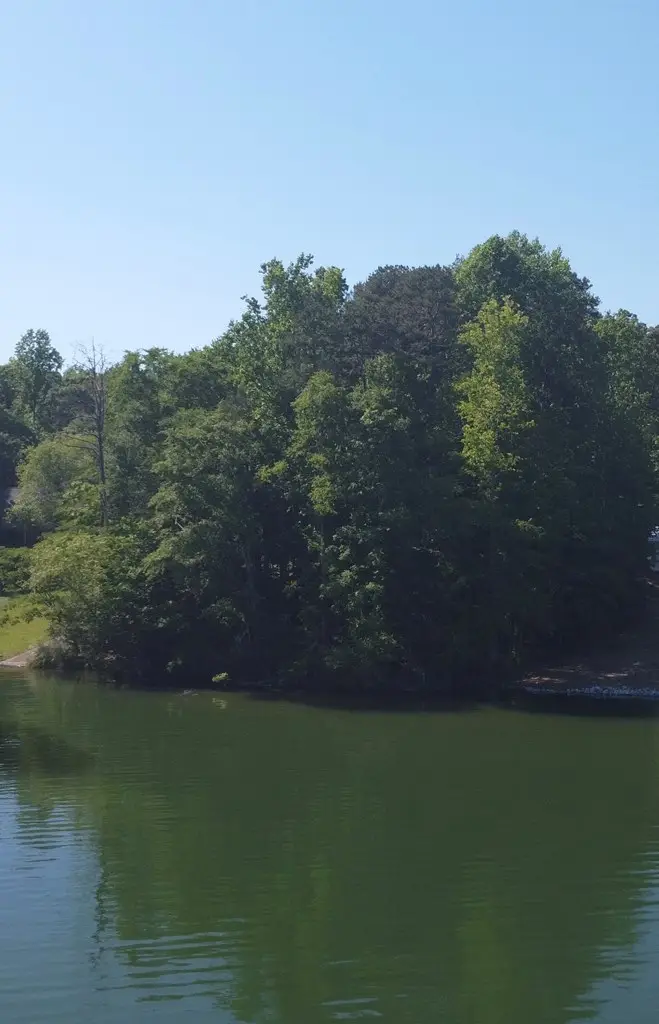 0 Lake Secession Road, Abbeville, SC 29620 - #3