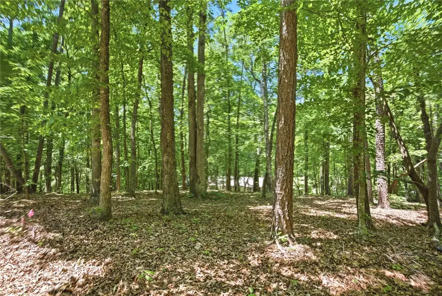9 Mizzen Lane, Salem, SC 29676 - #2