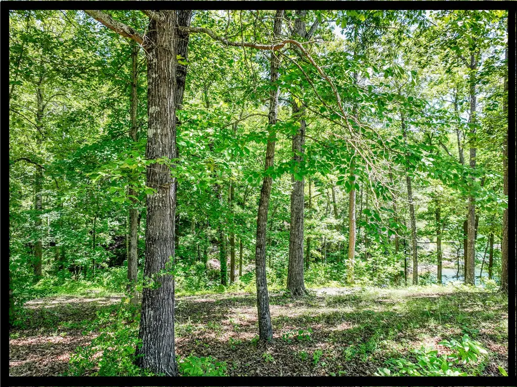 164 Wild Azalea Point, Seneca, SC 29672 - #1