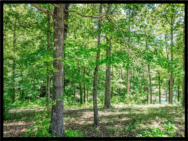 164 Wild Azalea Point, Seneca, SC 29672