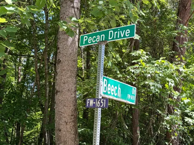 Lots 156 & 157 Beech Drive, Westminster, SC 29693 - #2