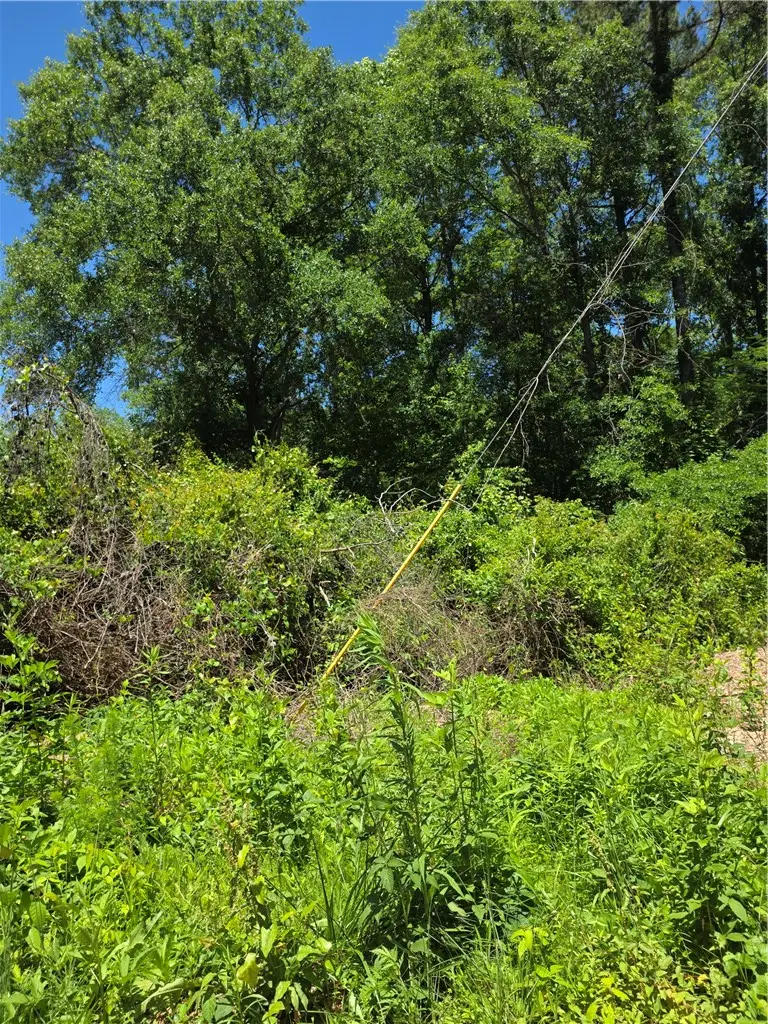 00 Tree Top Lane, Easley, SC 29642 - #2