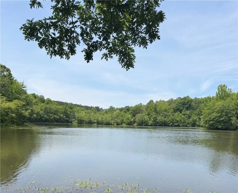 28 Acres Water Works Road, Walhalla, SC 29691 - #1