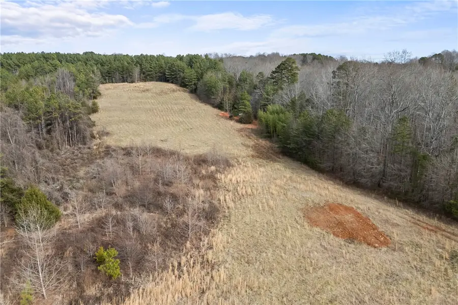 28 Acres Water Works Road, Walhalla, SC 29691 - #3