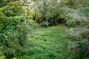 585 Mountain Road, Westminster, SC 29693 - #2