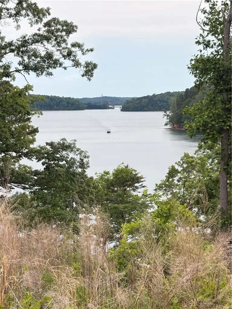 #2 Warpath Ridge Trail, Six Mile, SC 29682 - #1