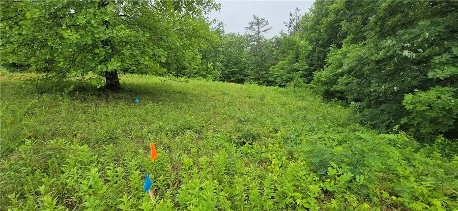 001 Lenore B Lane, Mountain Rest, SC 29664 - #3