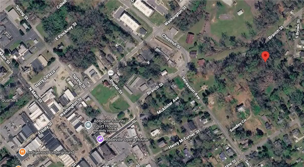 214 Branch Street, Abbeville, SC 29620 - #1