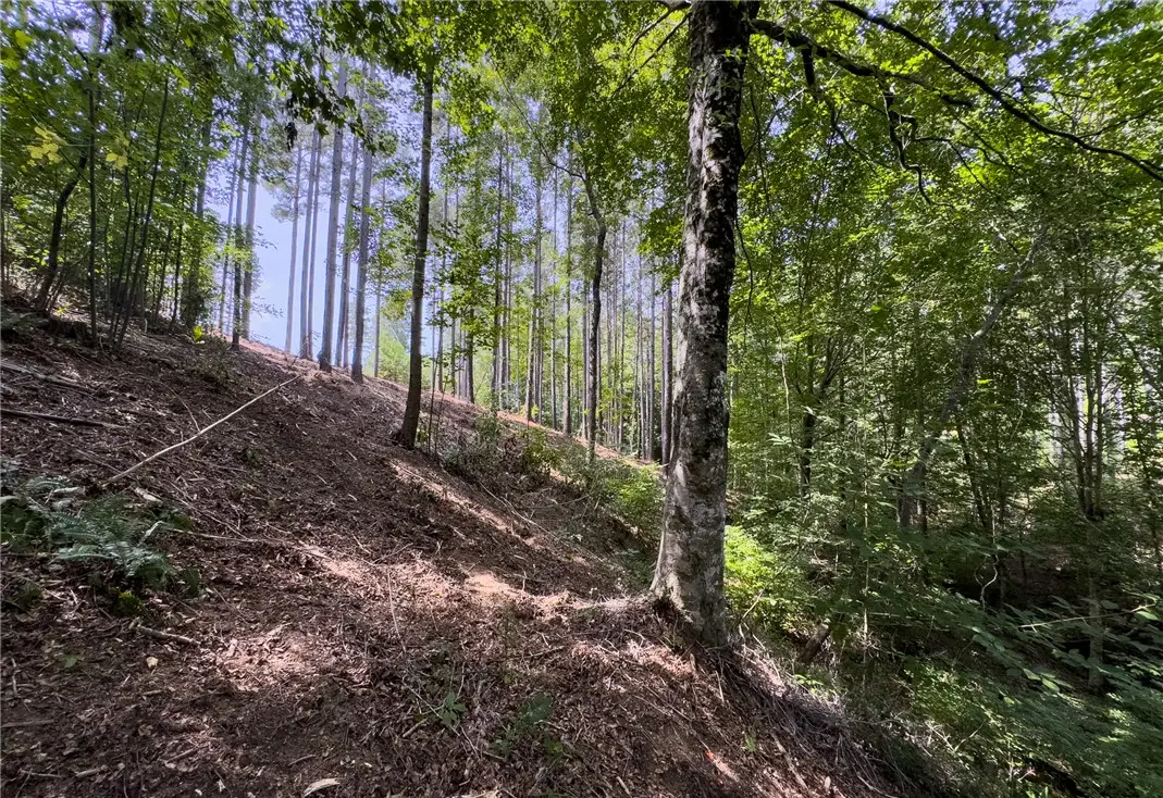 Lot 11 Little Keowee Boulevard, West Union, SC 29696 - #1