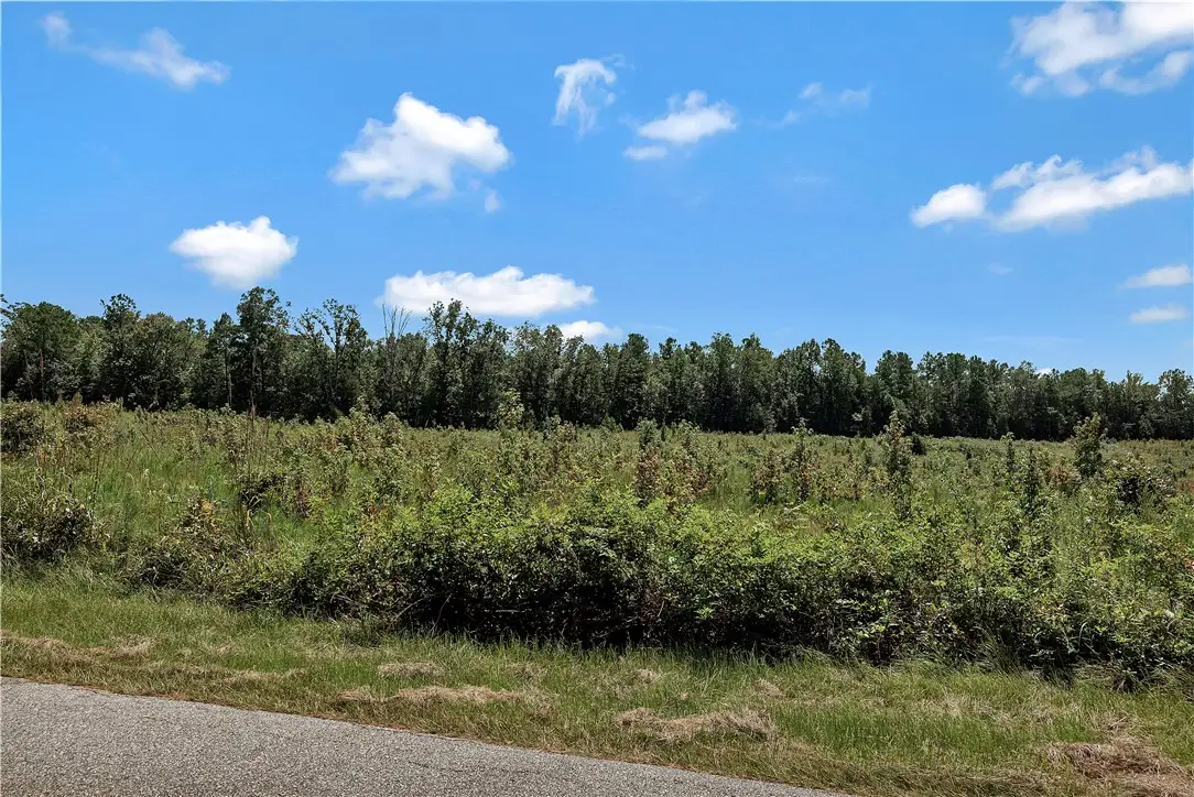00 Brown Road, Iva, SC 29655 - #1