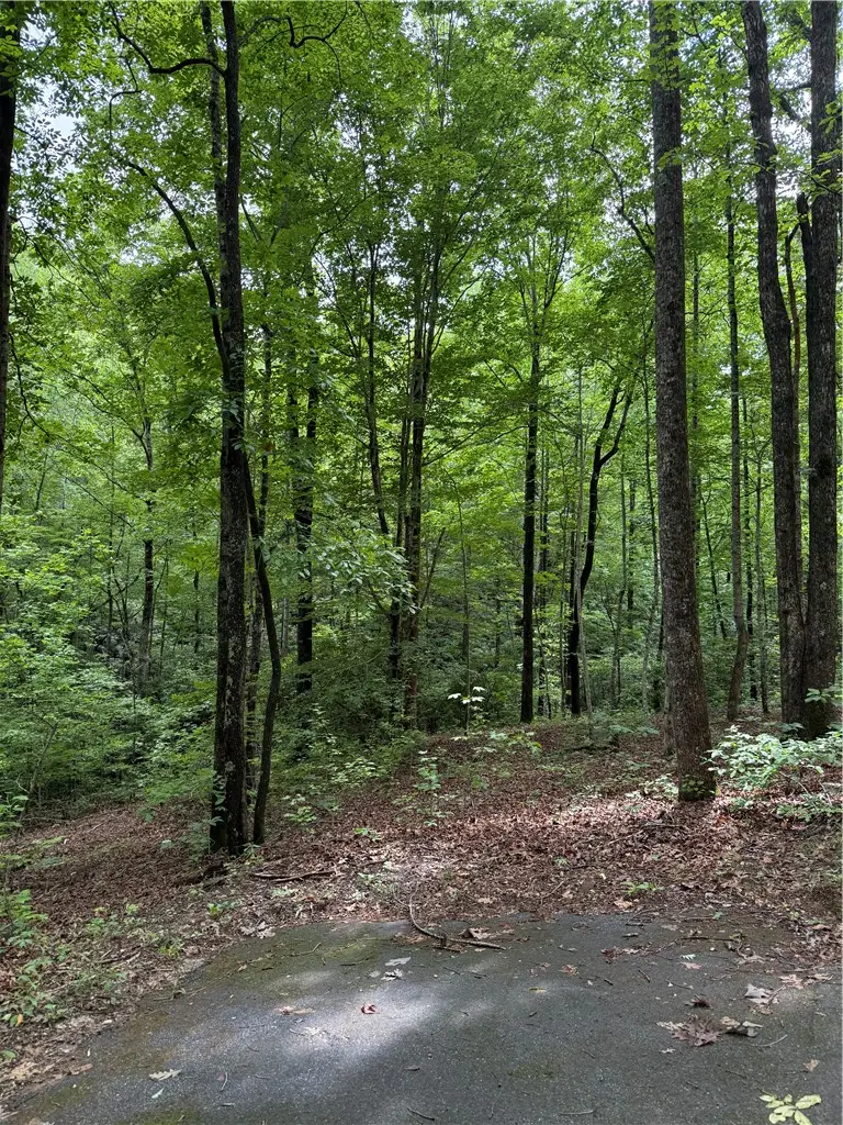 125 Cottage Side Trail, Travelers Rest, SC 29690 - #2