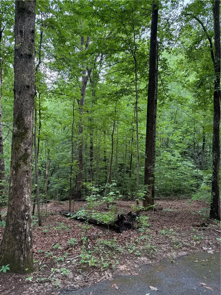 125 Cottage Side Trail, Travelers Rest, SC 29690 - #3