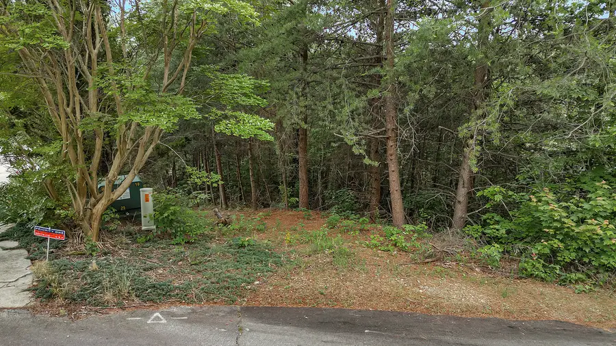 Lot N-25 Jocassee Ridge Way, Salem, SC 29676 - #3