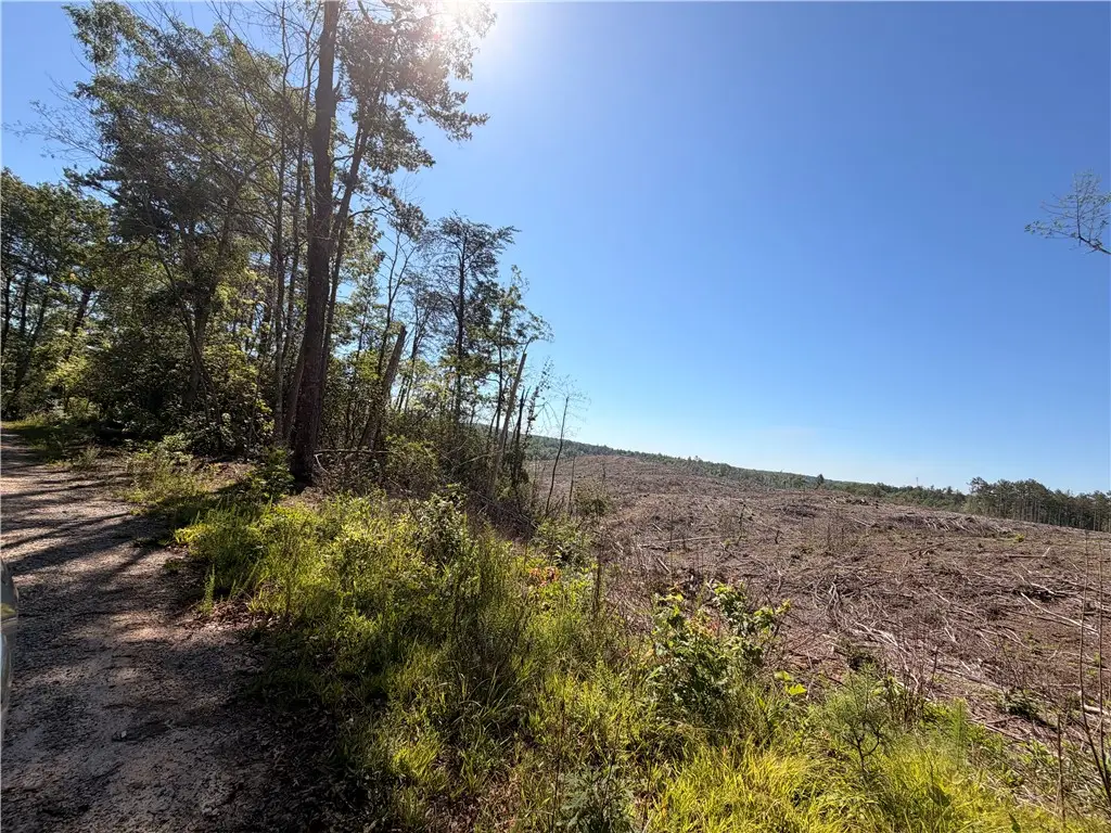 309 Knox Creek Road, Tamassee, SC 29686 - #1