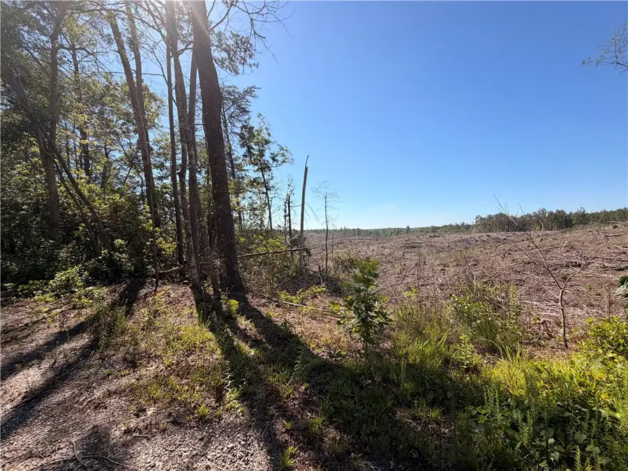 309 Knox Creek Road, Tamassee, SC 29686 - #2