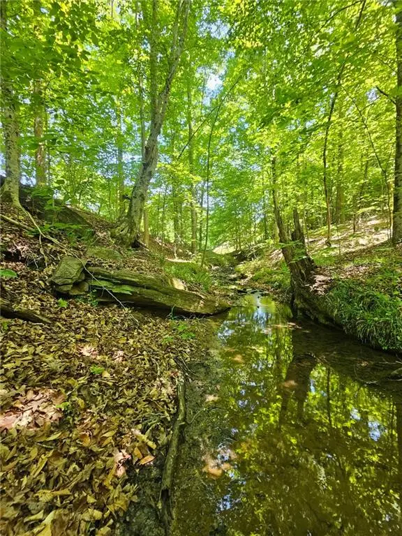 00 Ridgedale Road, Six Mile, SC 29682 - #3