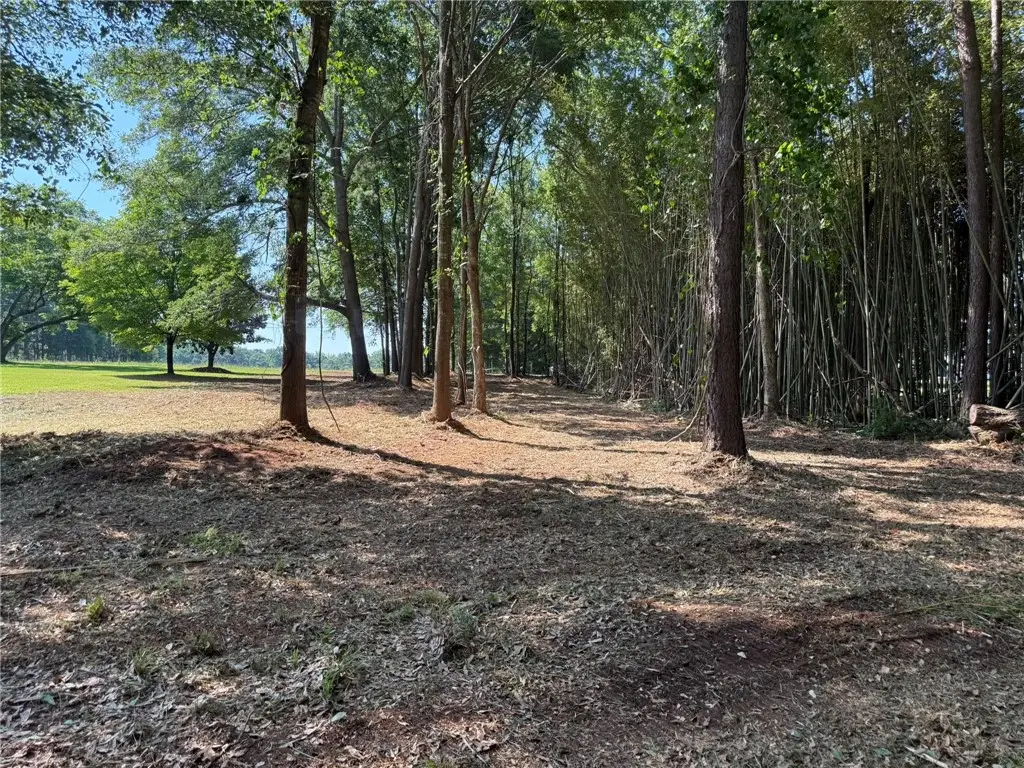 4027a Belhaven Road Extension, Belton, SC 29627 - #1