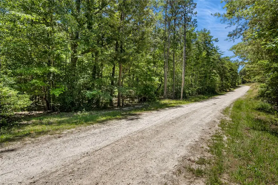 00 Pine Mountain Road, Tamassee, SC 29686 - #3