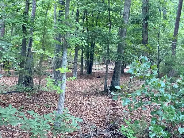 00 Hilton Drive, Iva, SC 29655
