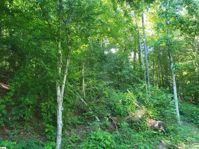 00 Hidden Valley Road, Marietta, SC 29661 - #1