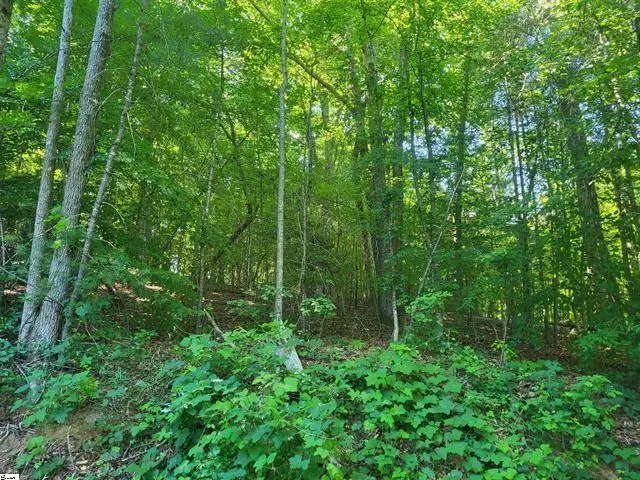 00 Hidden Valley Road, Marietta, SC 29661 - #2