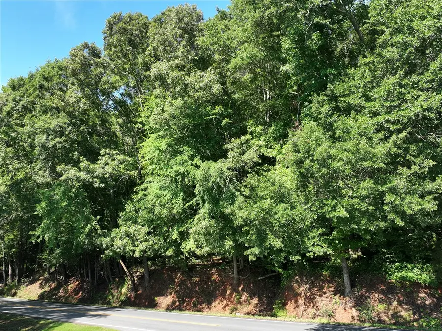 553 Issaqueena Trail, Clemson, SC 29631 - #2