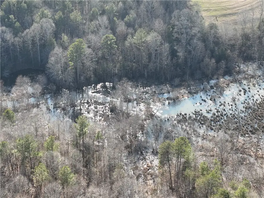 1550 Ridgeland Road, Eastanollee, SC 30538 - #3