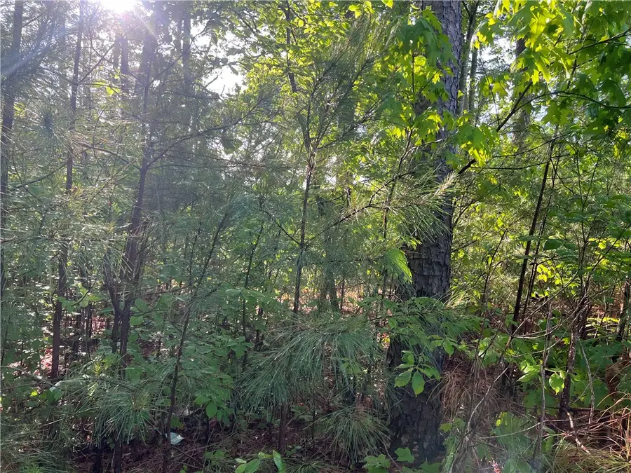 00 Seed Farm Road, Westminster, SC 29693 - #3