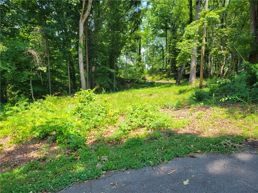 00 Fox Fire Road, Central, SC 29630 - #3
