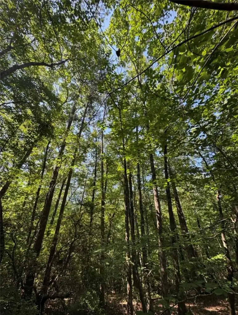 Tract 1J The Bear Boulevard, Tamassee, SC 29686 - #2