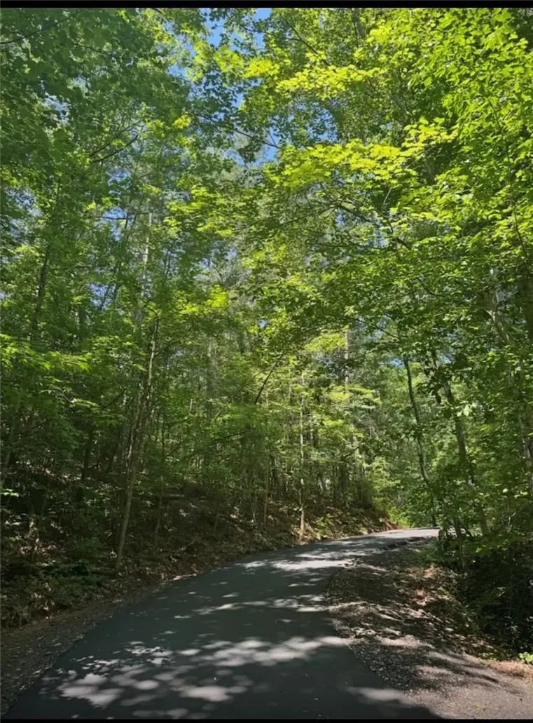 Tract 1J The Bear Boulevard, Tamassee, SC 29686 - #3