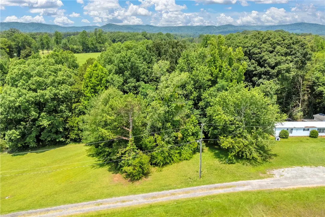 156 Newberry Road, Walhalla, SC 29691 - #1