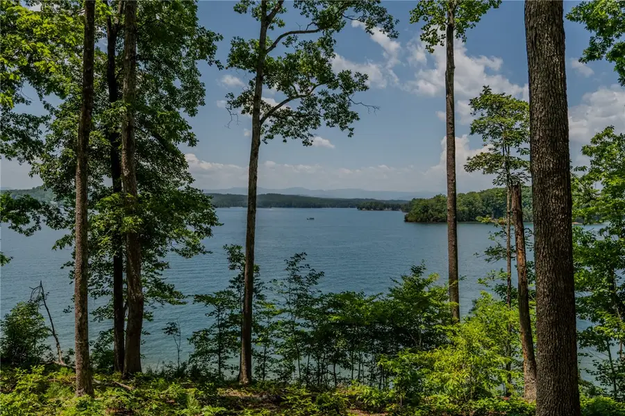 233 Sandy Hollow Court, Six Mile, SC 29682 - #2