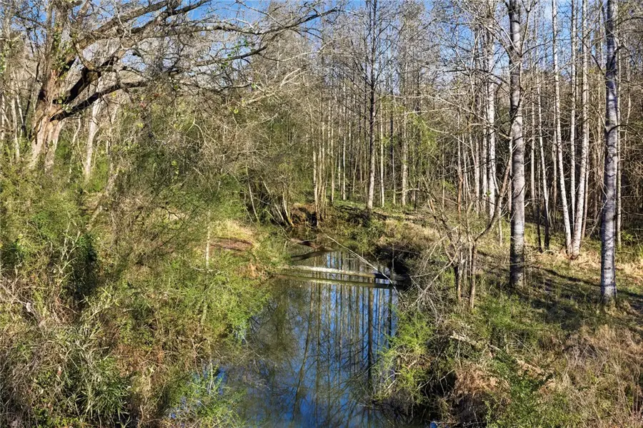 51.3 Acres Hall Road, Westminster, SC 29693 - #2