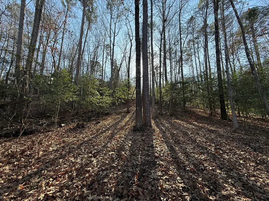 133 Sweetgum Drive, Westminster, SC 29693 - #3