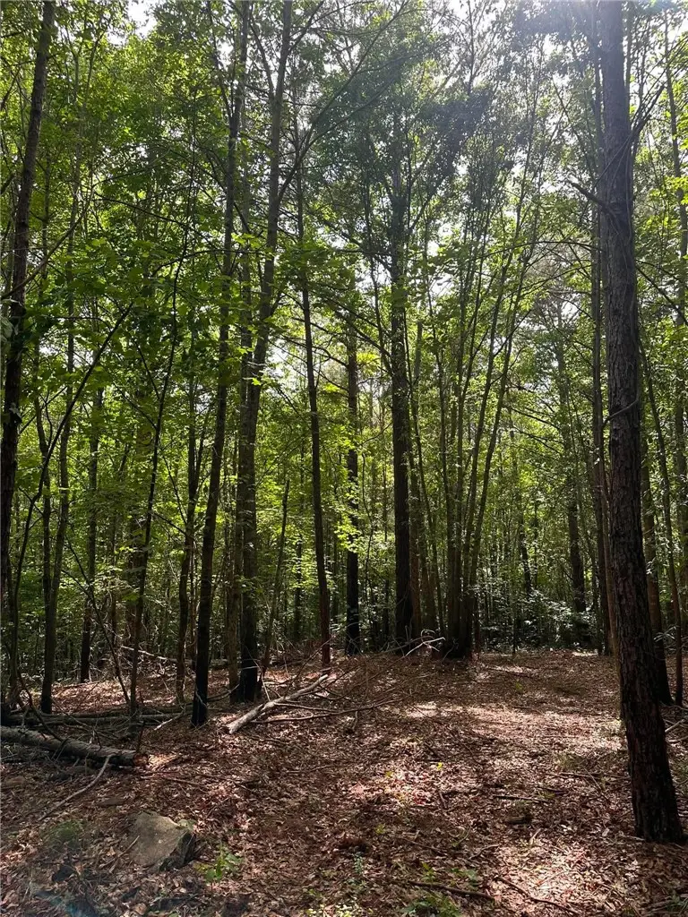 209 Gale Drive, Pelzer, SC 29669 - #3