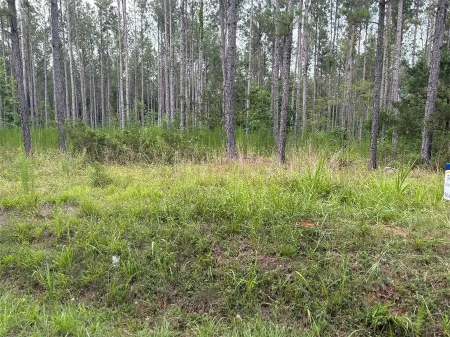4.42 acres Mike Mcconnell Avenue, Iva, SC 29655 - #3