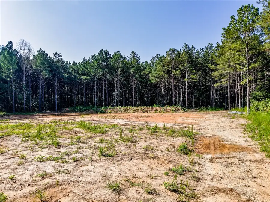 Lot C-1 Rogers Road, Pendleton, SC 29670 - #3