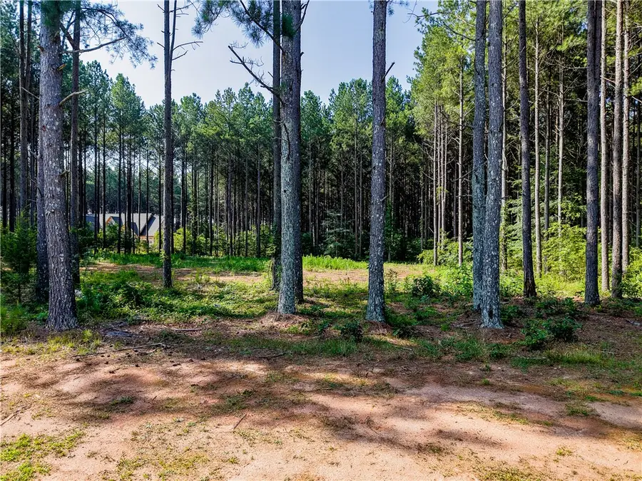 Lot C-2 Rogers Road, Pendleton, SC 29670 - #2