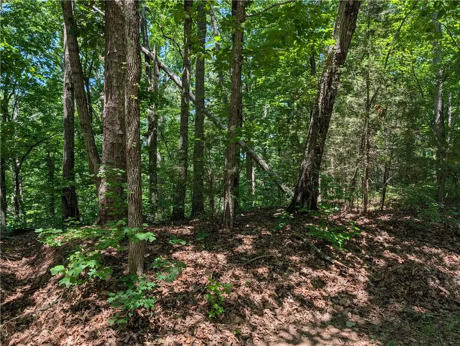 153 Nottingham Drive, Westminster, SC 29693 - #3
