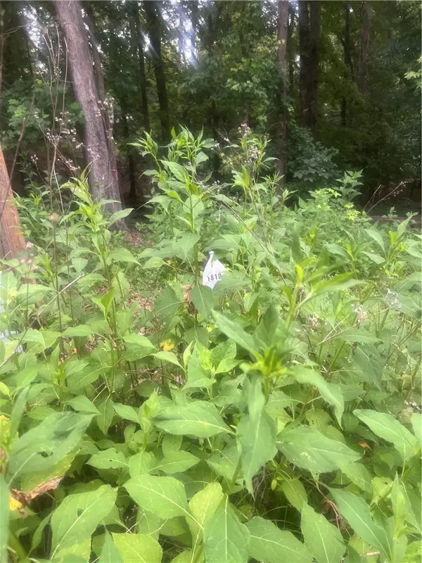 00 S Arrowhead Drive, Westminster, SC 29693