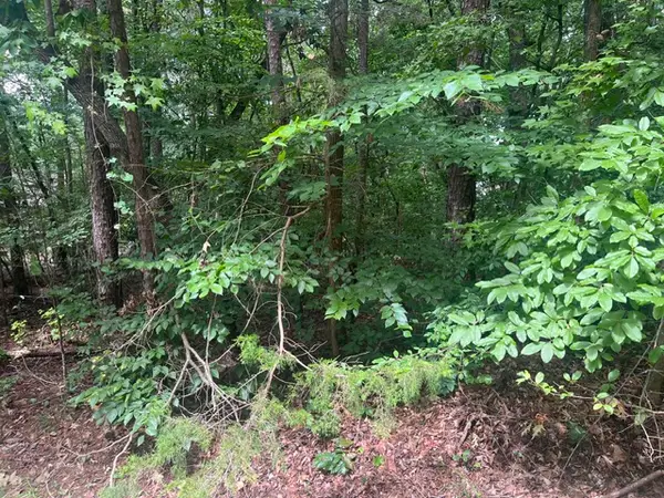 137 Tulip Lane, Westminster, SC 29693
