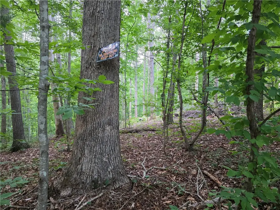 00 Smoke Rise Drive #Lot 33 & 34 Delta Estates, Westminster, SC 29693 - #3