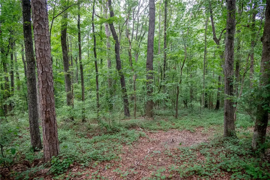 106 Pierpoint Drive, Westminster, SC 29693 - #1