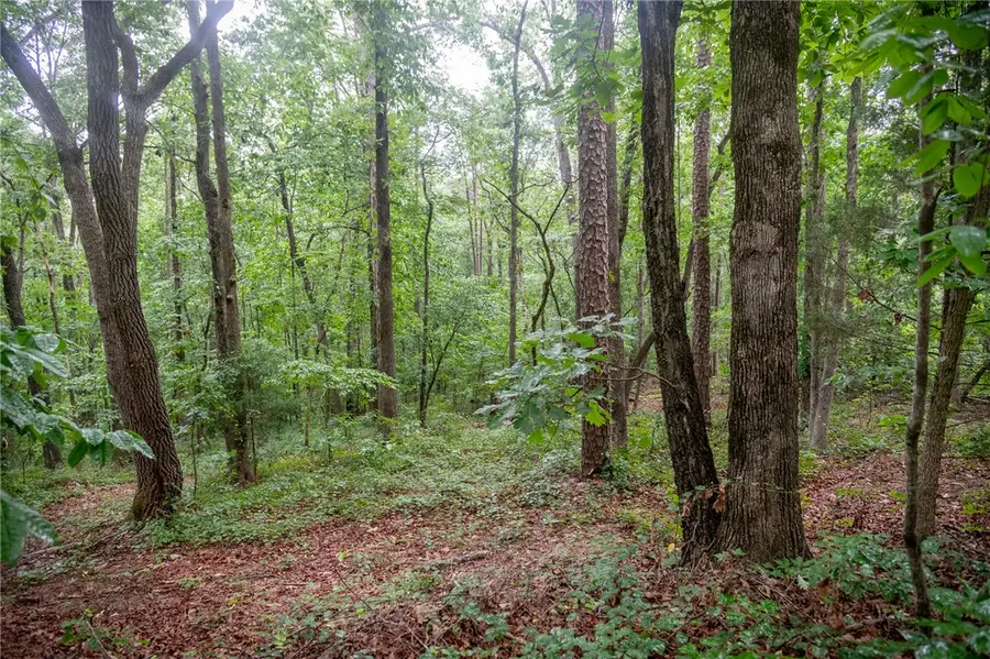 106 Pierpoint Drive, Westminster, SC 29693 - #2